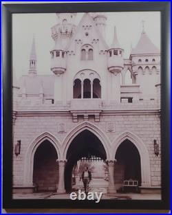 16x20? Walt Disney Walking thru Sleeping Beauty Castle Disneyland New Frame