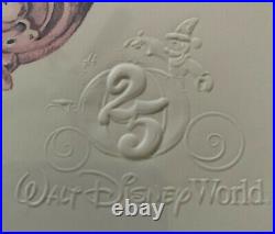 1996 Walt Disney World Framed 25th Anniversary Embossed Logo Cinderella Castle