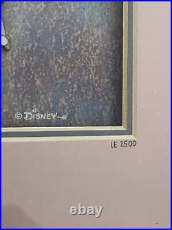 Disney TINKERBELL THROUGH THE YEARS FRAMED COLLECTIBLE ART LTD EDITION 2500 COA