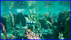 Disney World SUBMARINE 20,000 Leagues Under Sea, 3D FRAME Prop PLANTS POSTER COA