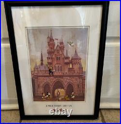 Disneyland Framed 2002 LE 1000 Walk In Walt's Footsteps With Pins Very Rare