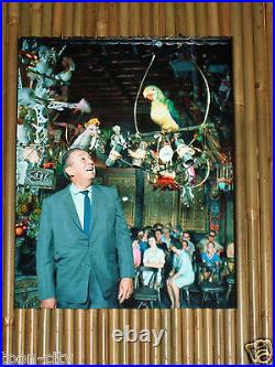 Disneyland Walt Disney Talks with Jose Tiki Room NEW Bamboo Tiki Style Frame