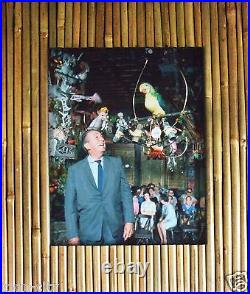 Disneyland Walt Disney Talks with Jose Tiki Room NEW Bamboo Tiki Style Frame