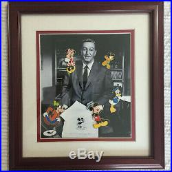 Framed 5 Character Pin Set On A Walt Disney Photo Limited Edition