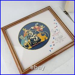 Vintage Framed Walt Disney 25th Anniversary of Magic Kingdom Pin Set 1971-1996