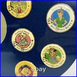 WALT DISNEY WORLD 20 MAGICAL YEARS PIN SET Framed Rare Complete SOME YELLOWING