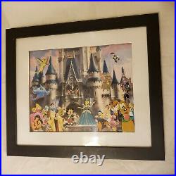 Walt Disney Castle with Mickey Cinderella Pluto Tinkerbell pin collection in frame