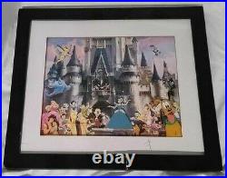 Walt Disney Exceptional Special Edition Framed Pins Rare Collectable