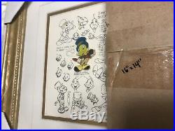 Walt Disney Limited Edition Framed Pin Set Jiminy Cricket Model Sheets RARE LE
