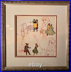 Walt Disney Prince and Princesses Framed Pin Set, Limited Edition 2400