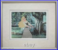 Walt Disney Production 1959 Animation Cel Sleeping Beauty Briar Rose, Framed
