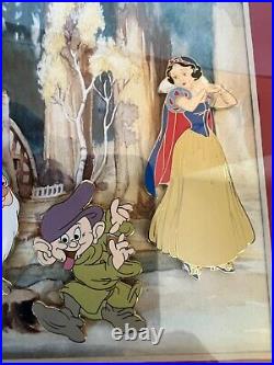 Walt Disney Snow White & Seven Dwarfs Framed Collector's Pin Set (LTD ED of 500)