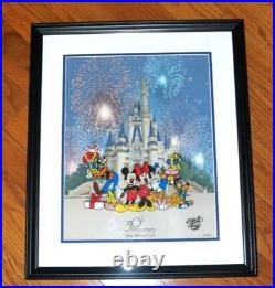Walt Disney World 30th Anniversary Framed Sericel Cel Print 2002 with COA
