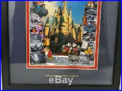 Walt Disney World 35 Years of Making Dreams Come True Framed Pin Set Anniversary