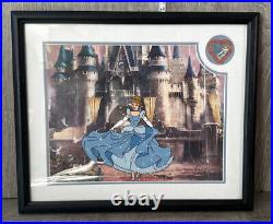 Walt Disney World Cinderella Castle Framed Pin and Cel Her Castle Awaits (MM)