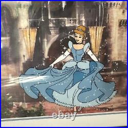 Walt Disney World Cinderella Castle Framed Pin and Cel Her Castle Awaits (MM)