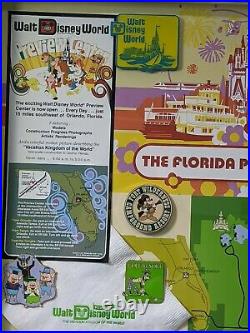 Walt Disney World Florida Project Framed Pin Set & Collage