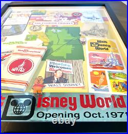 Walt Disney World Florida Project Framed Pin Set & Collage Le 200