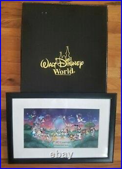 Walt Disney World Framed 2000 LE Framed Pin Set 223/1500 with Original Box