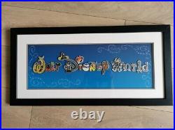 Walt Disney World Limited Edition Pins with Glass Frame RARE 15 pins
