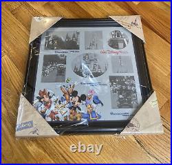 Walt Disney World Parks Mickey Family Vacation Collage Picture Photo Frame 16x16