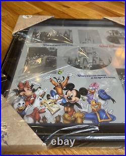 Walt Disney World Parks Mickey Family Vacation Collage Picture Photo Frame 16x16